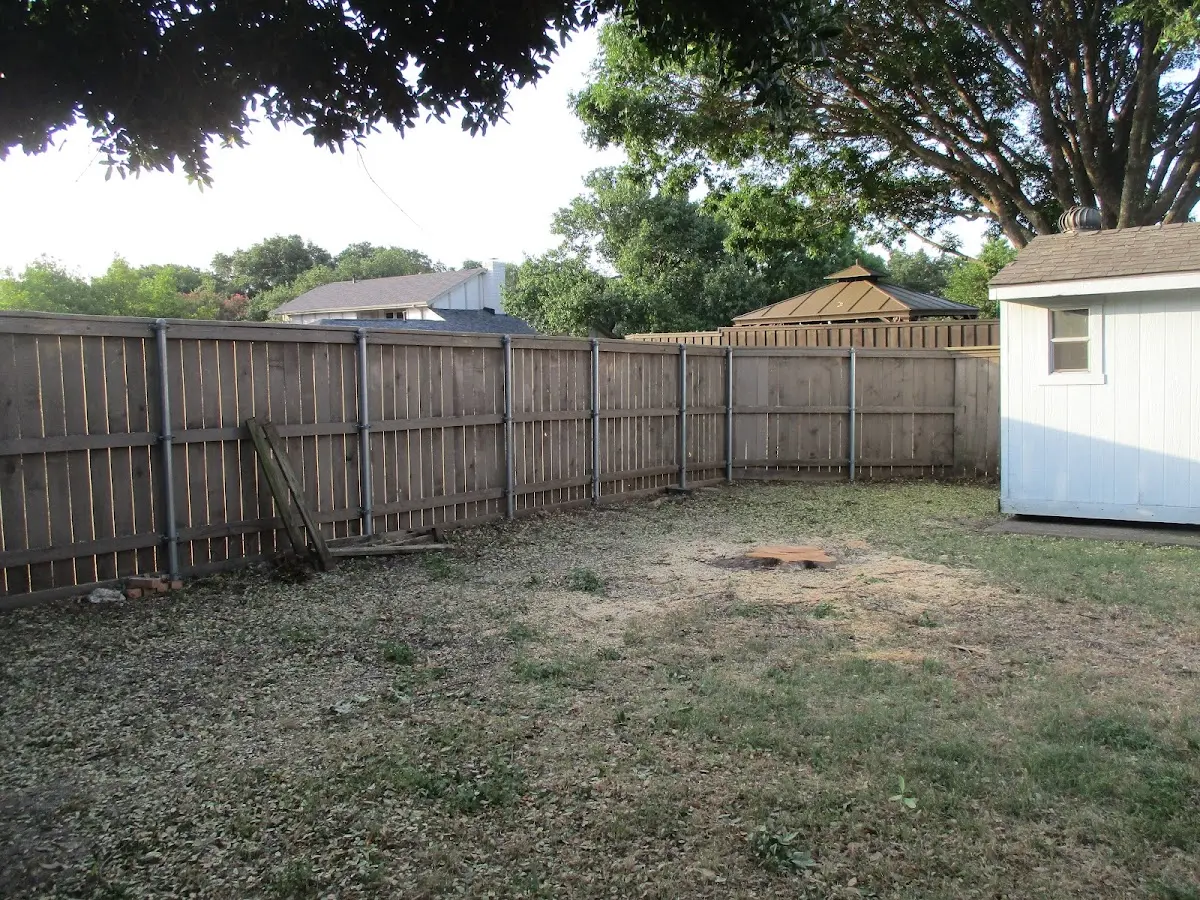 Cleared yard after professional tree removal in Prescott